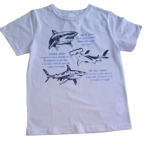CAMISETA ALENICE TAMANHO 6