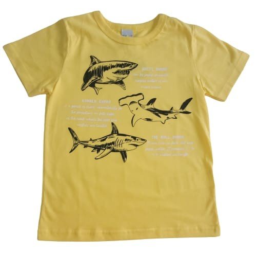 CAMISETA ALENICE TAMANHO 8