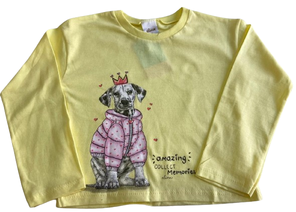 CAMISETA DE MANGA LONGA ELIAN TAMANHO 4