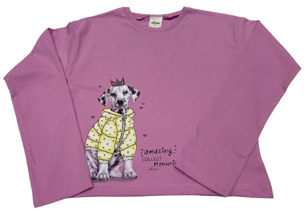 CAMISETA MANGA LONGA ELIAN TAMANHO 08