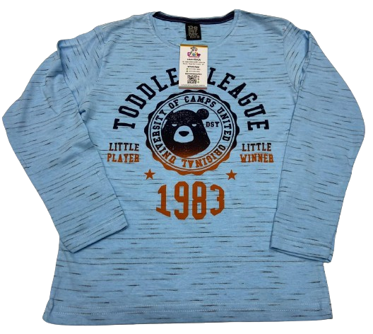 CAMISETA MANGA LONGA DESAYNER TAMANHO 06