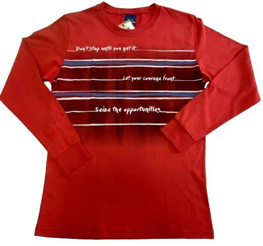 CAMISETA MANGA LONGA DESAYNER  TAMANHO 12