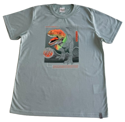 CAMISETA MANGA CURTA ELIAN TAMANHO 12