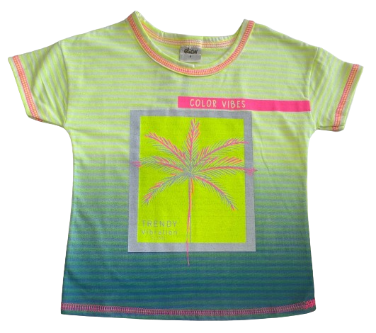 CAMISETA VERÃO ELIAN TAMANHO 04