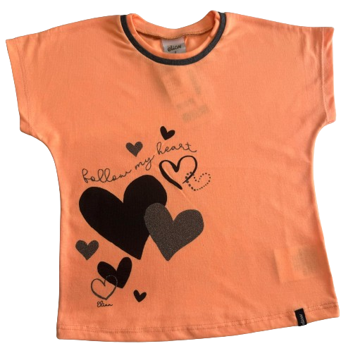 CAMISETA VERÃO ELIAN TAMANHO 06