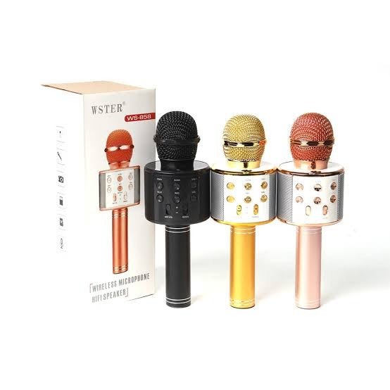 Microfone Karaokê WS-858