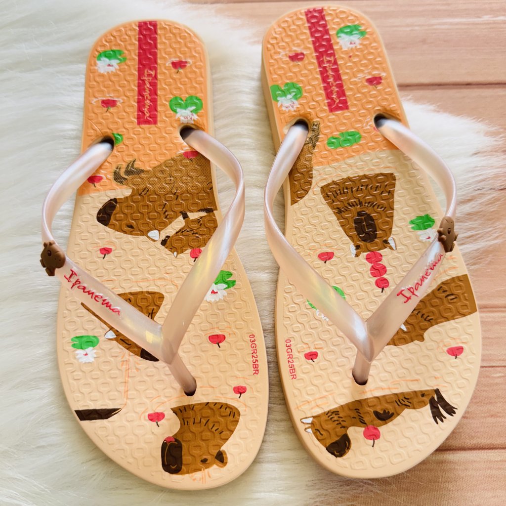 Chinelo Capivara 25/26