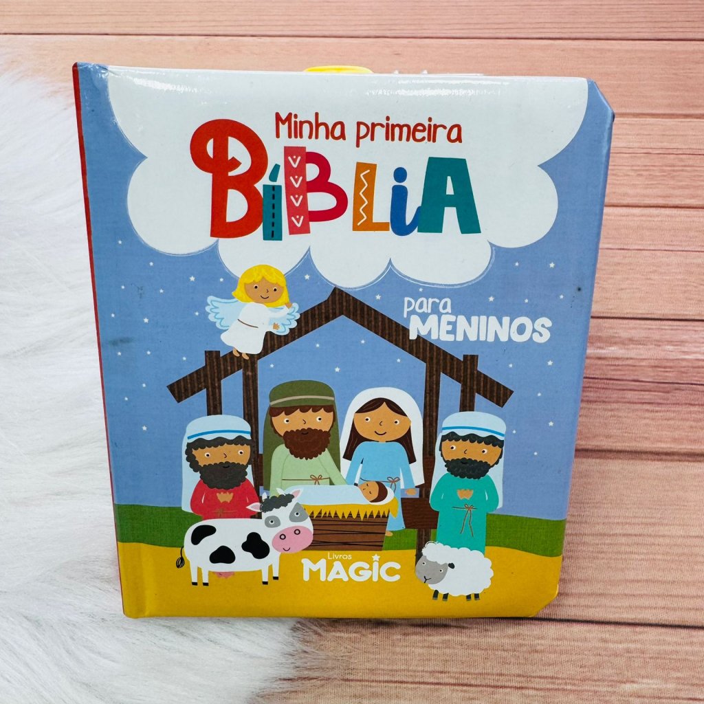 Bíblia Meninos