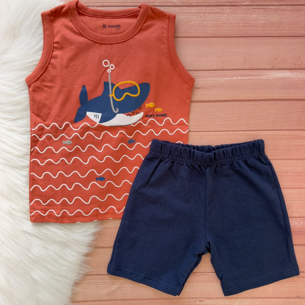 Conjunto Brandili 2