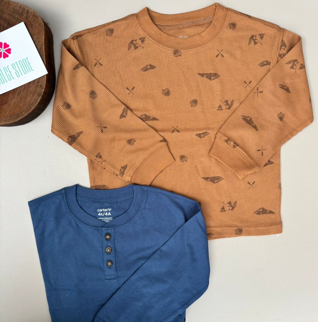 kit 2 camisetas carters 