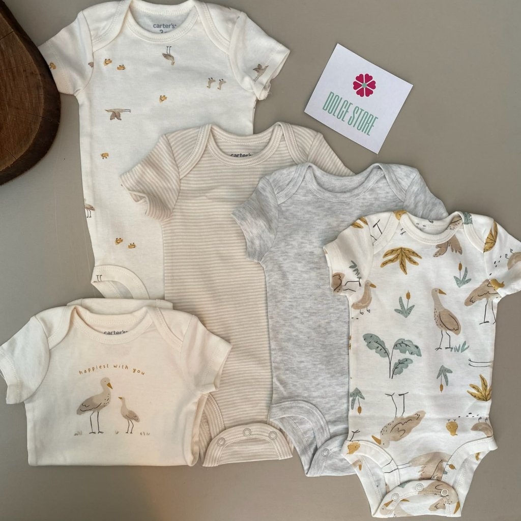 kit body-carters 