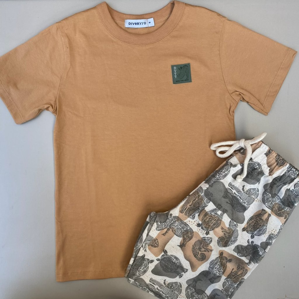 conjunto divertto