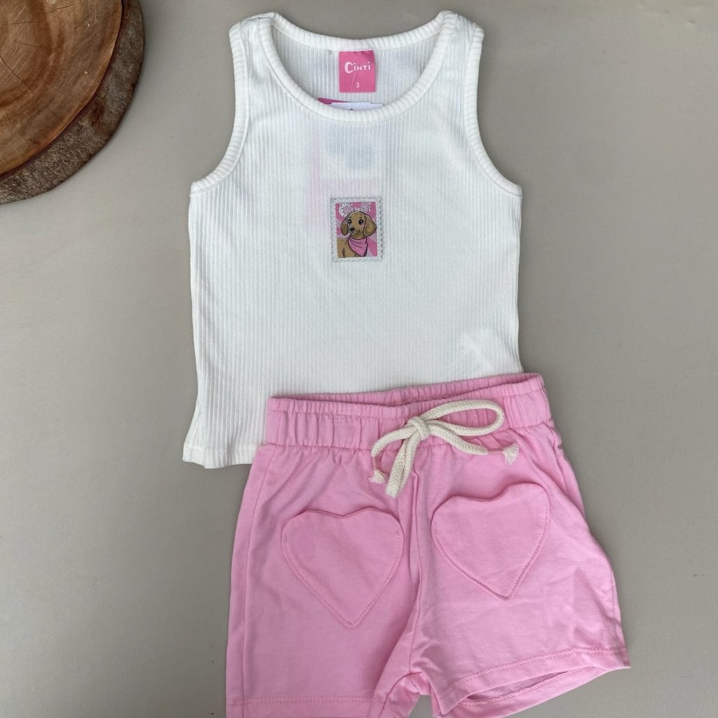 conjunto cinti 