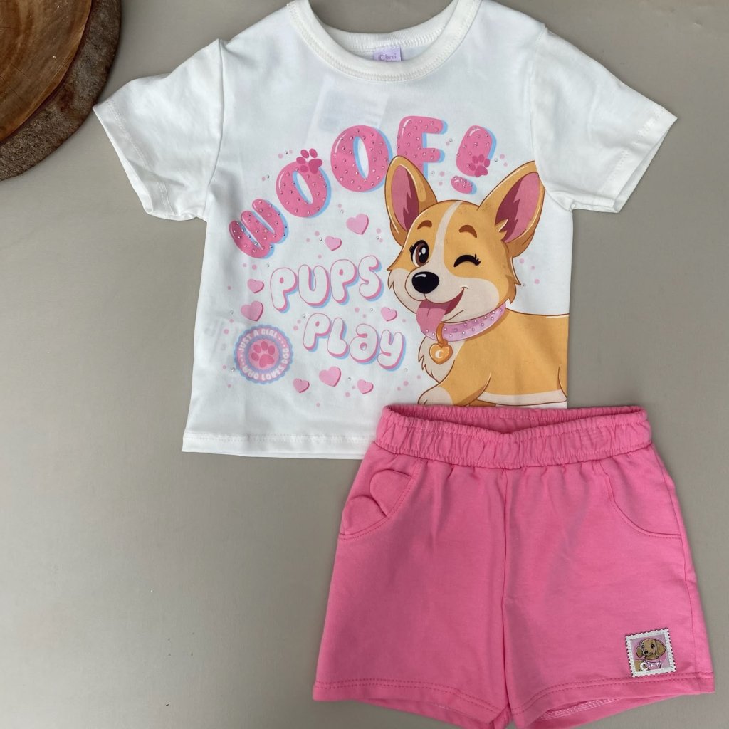 conjunto cinti 
