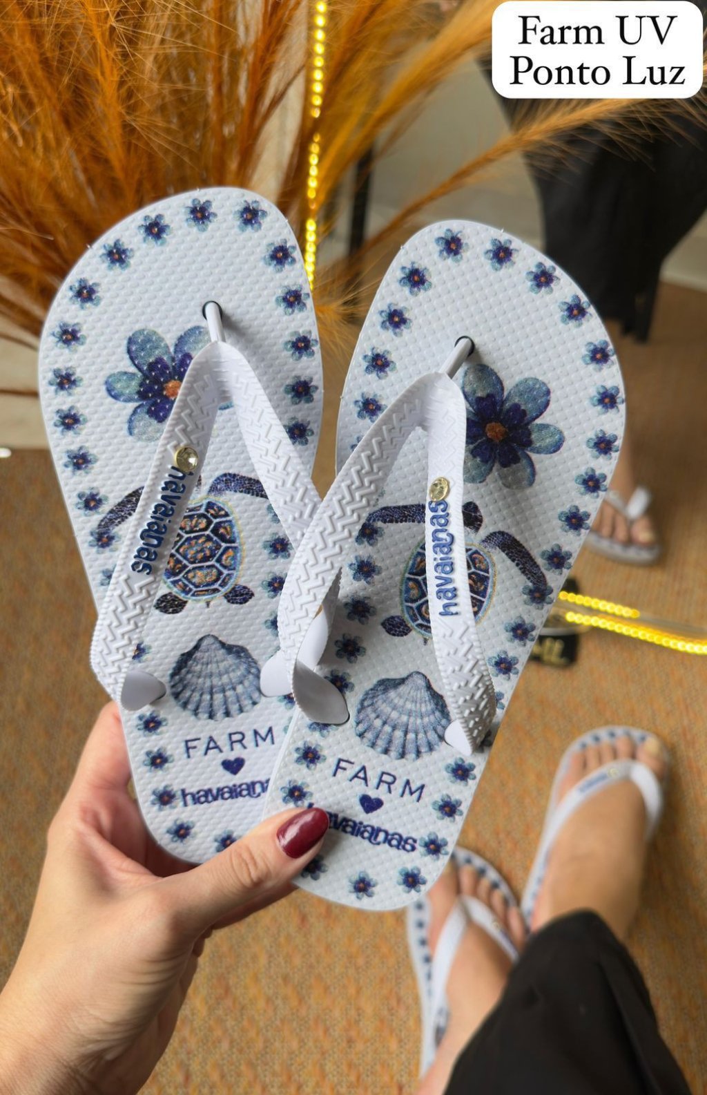 HAVAIANA FARM COM PONTO DE LUZ