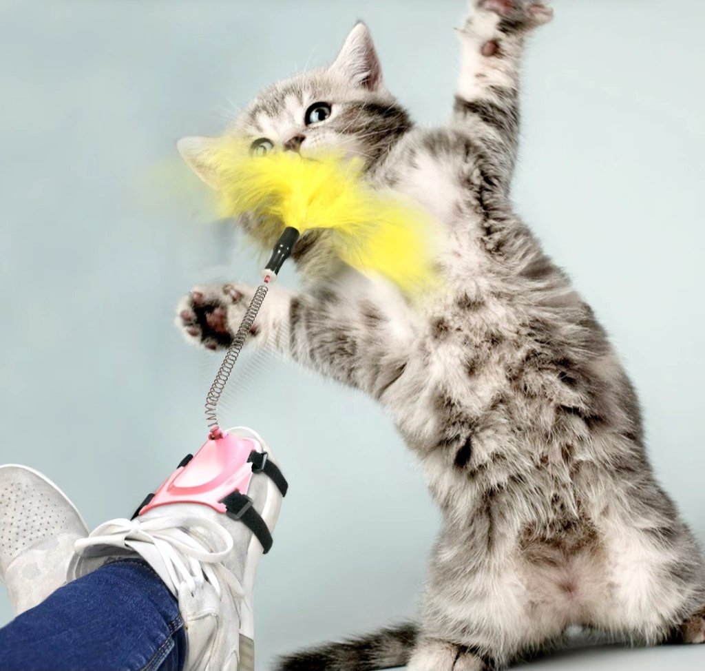 BRINQUEDO INTERATIVO PARA GATO REF: 5673