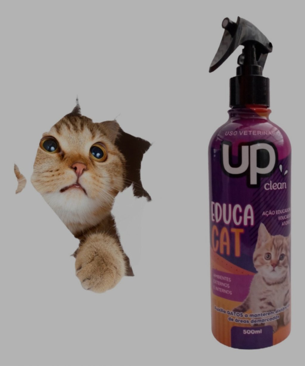 EDUCA CAT UP REF:6925