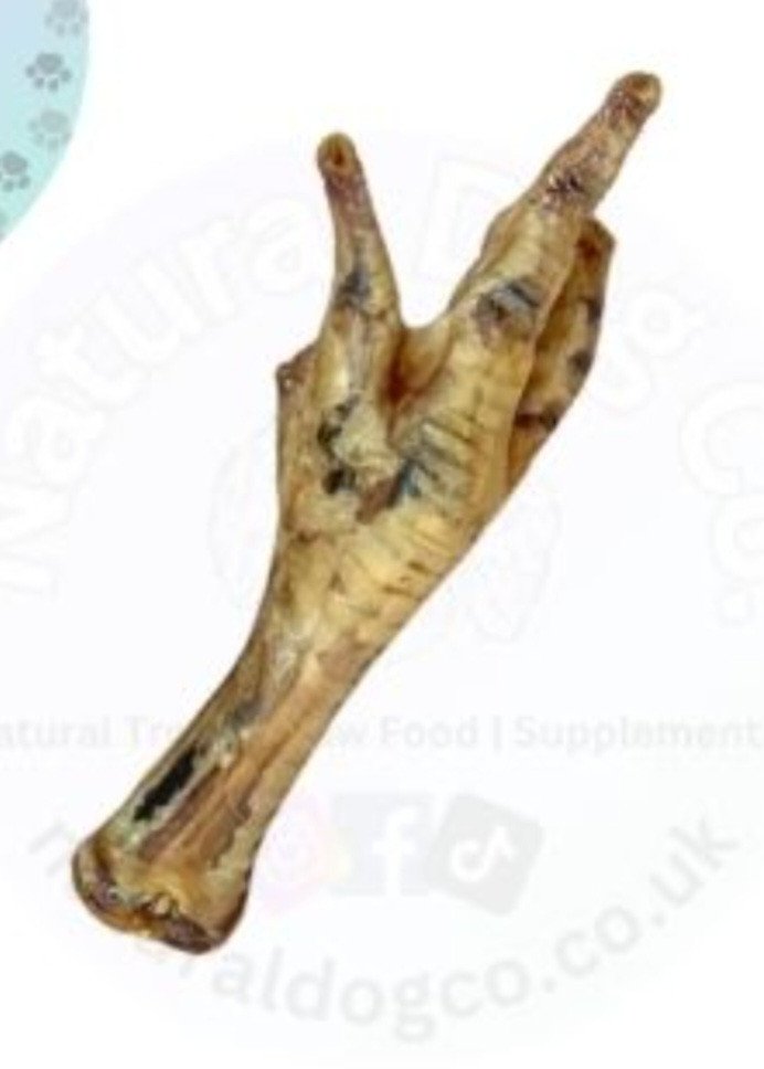 PÉ DE GALINHA COM 3 UNIDADES REF: 7396