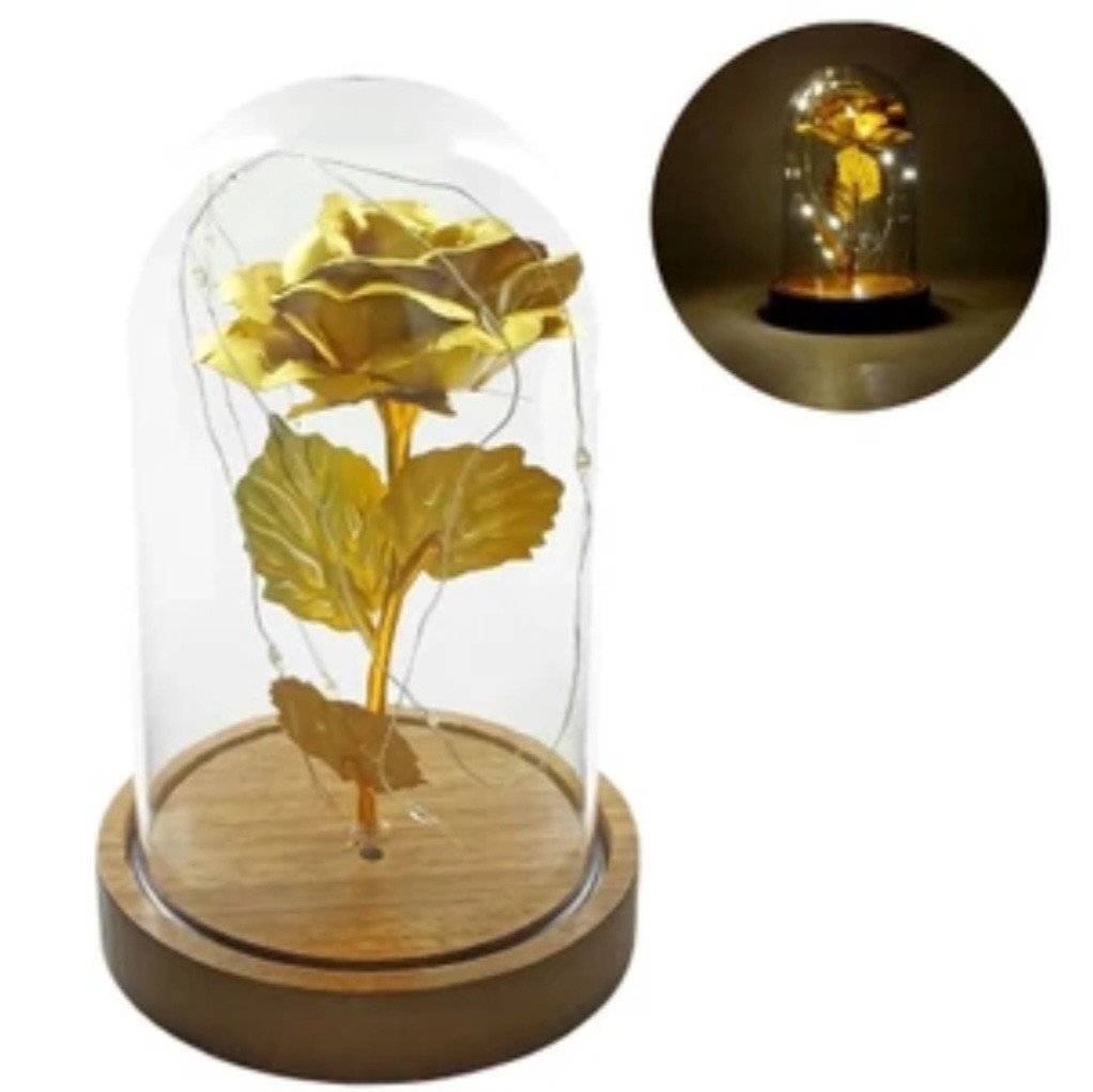 CUPULA LUMINOSA COM LED 11,5CM 18CM REF: 7647