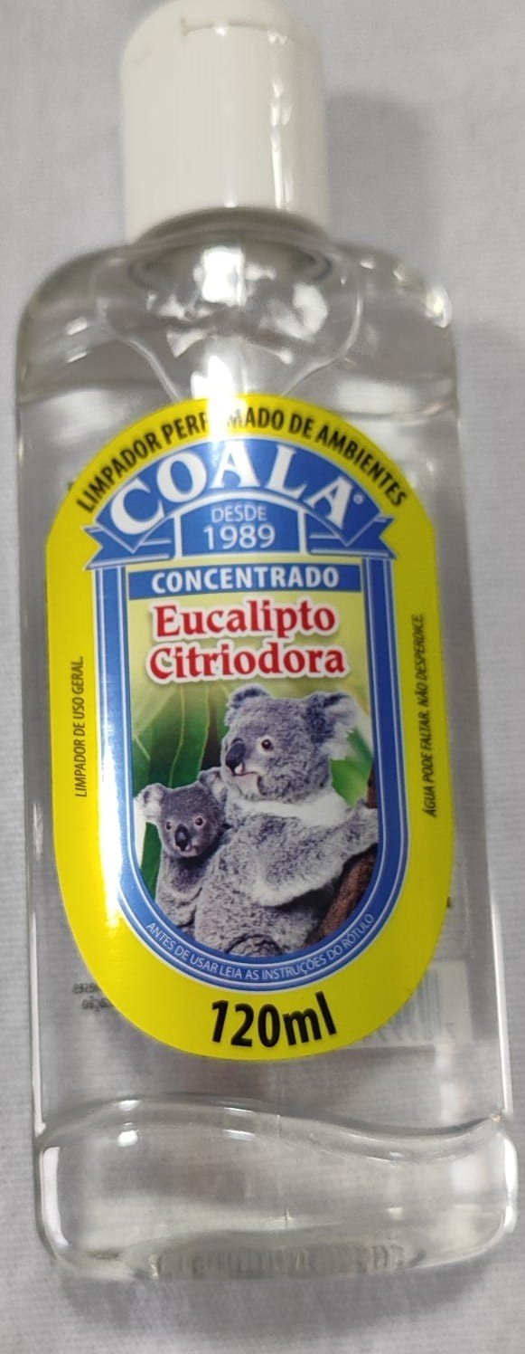 COALA EUCALIPTO CITRIODORA