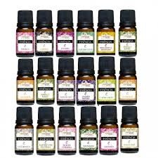 Essência Premium - Perfumaria Brasil