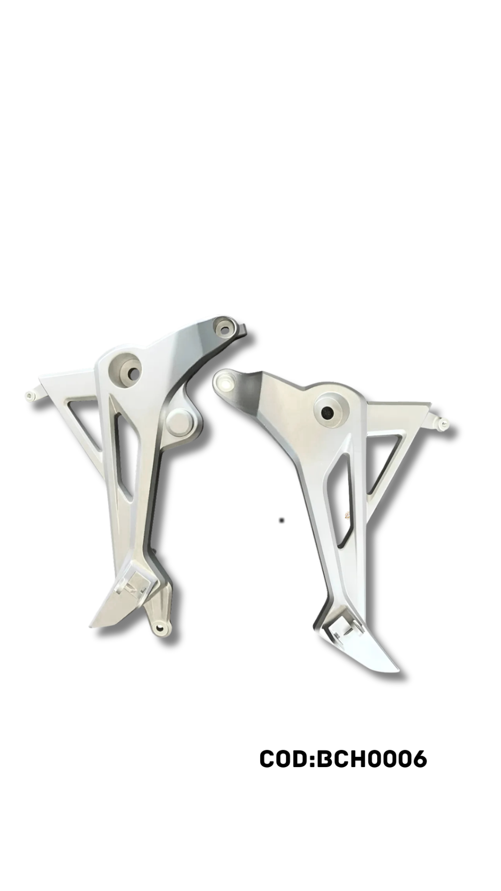 BACALHAU TITAN/FAN 160 S/ PEDALEIRA ( PAR ) 2025