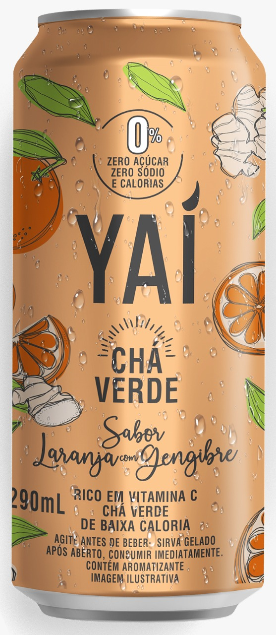 16028 - CHA VERDE 290ML LARANJA C/GENGIBRE (MÍNIMO 6 UNI)