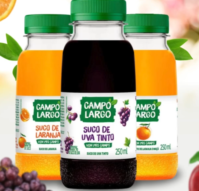 SUCO CAMPO LARGO 250ml SABORES (MINIMO 6 UNIDADES POR SABOR)