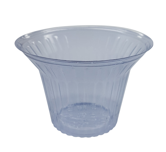 2119 - SUPORTE OVOS GRANDE PCT C/ 10un BWB