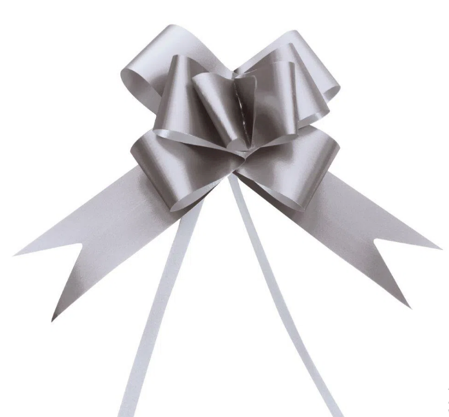 3984 - LACO PRONTO LISO PRATA 18mm C/10un - CROMUS