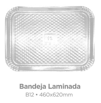 4429 - BANDEJA LAMINADA B12 460X620mm - PLAC