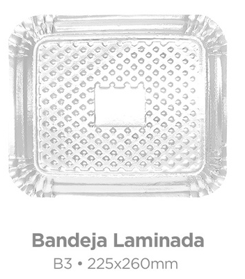 4424 - BANDEJA LAMINADA B3 225x260mm - PLAC