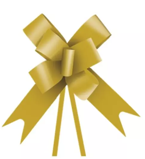 16231 - LACO PRONTO LISO OURO 23mm C/10un - PC/CROMUS