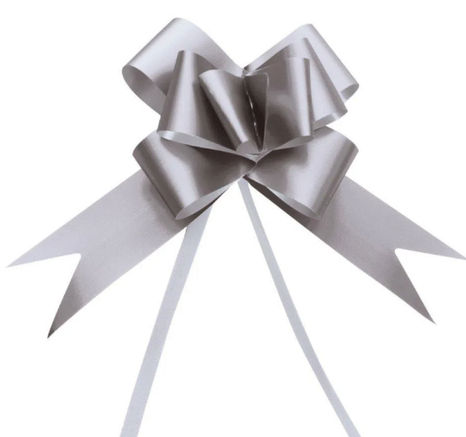 16232 - LACO PRONTO LISO PRATA 23mm C/10un - PC/CROMUS