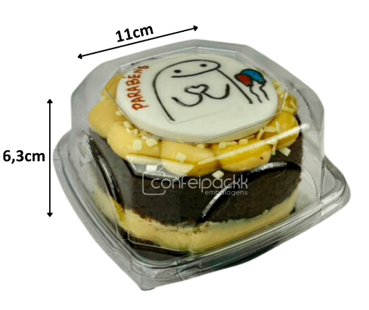 5893 - EMBALAGEM BEM BOLADO CRISTAL C/5UNI - FLIP