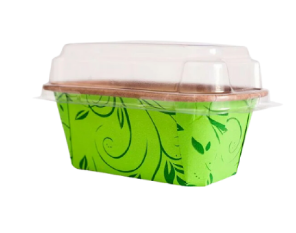 17039 - FORMA PLUMPY P 100g VERDE C/5un - ULTRAFEST