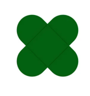 17126 - PORTA FORMINHA VERDE ESCURO 50un - REGINA