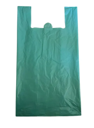 2349 - SACOLA RECICLADA VERDE 30X45 - DAYANAPLAST