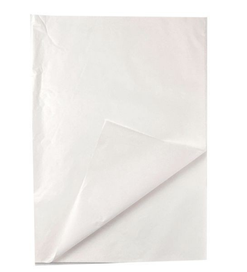 17247 - PAPEL SEDA LISO BRANCO 49x69 C/100un - PC/ CROMUS