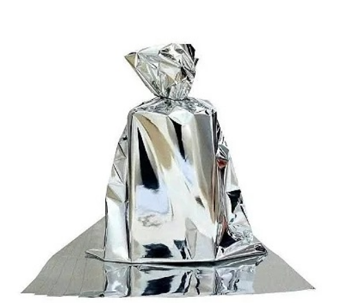 17739 - SACO METAL 35x53 LISO PRATA C/50un - PC/ CROMUS