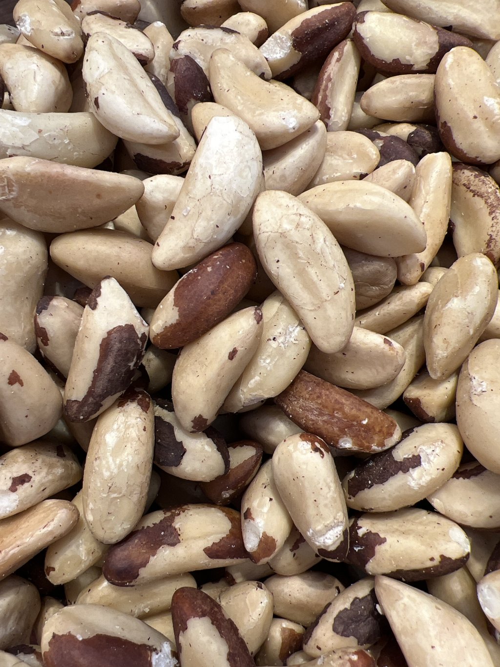 CASTANHA DO PARÁ INTEIRA