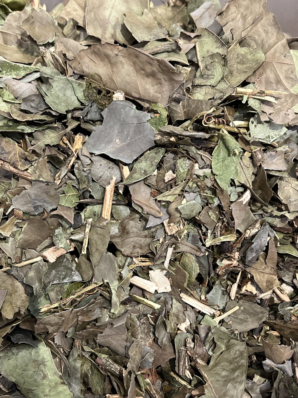 CHA VERDE NACIONAL (BANCHÁ)