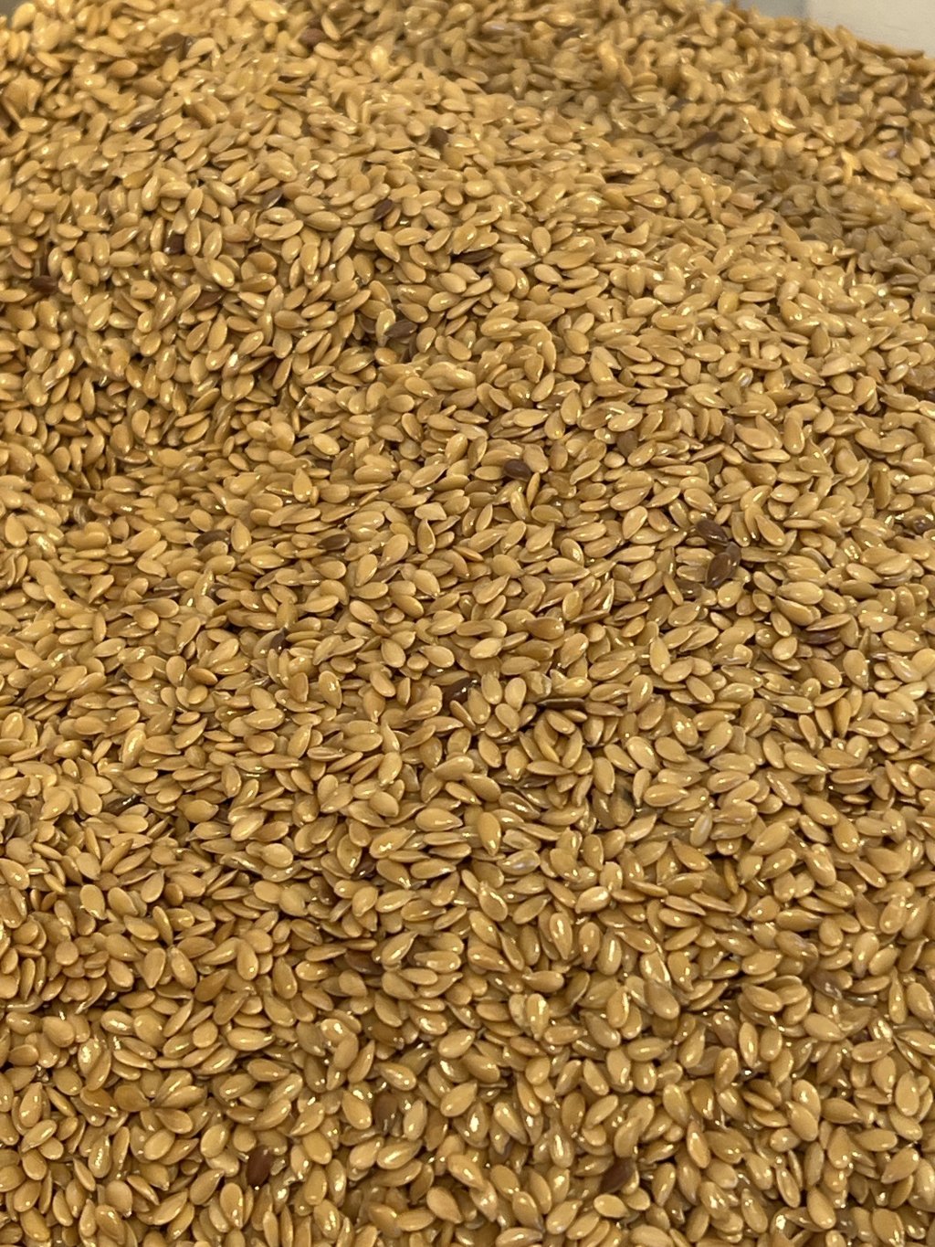 SEMENTE DE LINHAÇA DOURADA