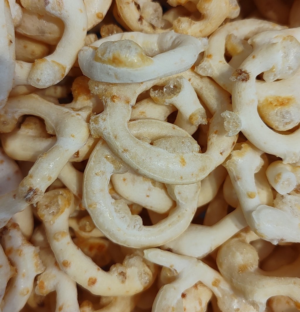 BISCOITO POLVILHO ALHO