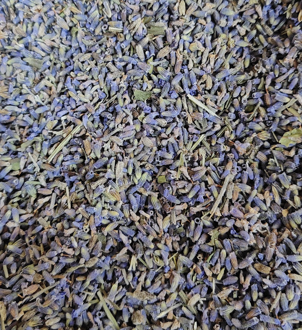 LAVANDA