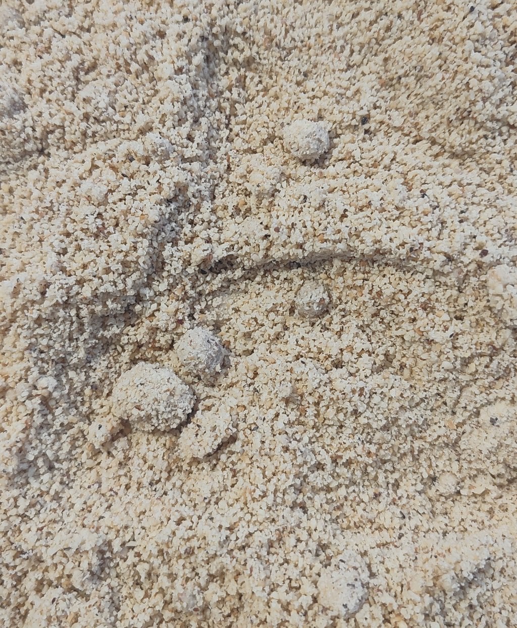 FARINHA DE CASTANHA DE CAJU