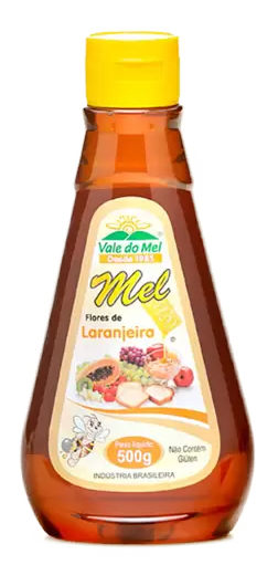 MEL FLORADA LARANJEIRA 500G - VALE DO MEL