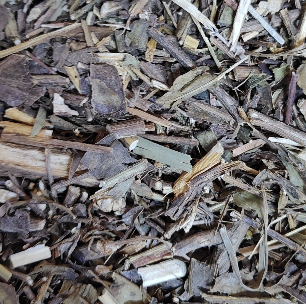 CARQUEJA AMARGA
