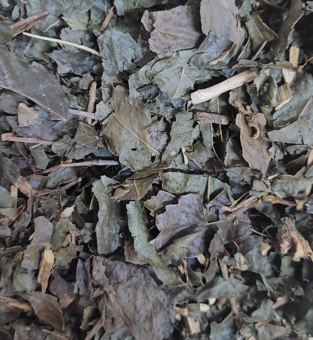 GUAÇATONGA