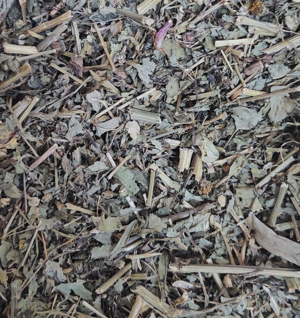 PICÃO PRETO